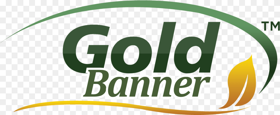 Gold Banner Graphic Design, Logo Free Transparent Png