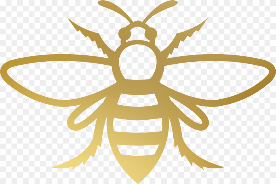 Gold Bee Clip Art, Animal, Insect, Invertebrate, Wasp Free Png