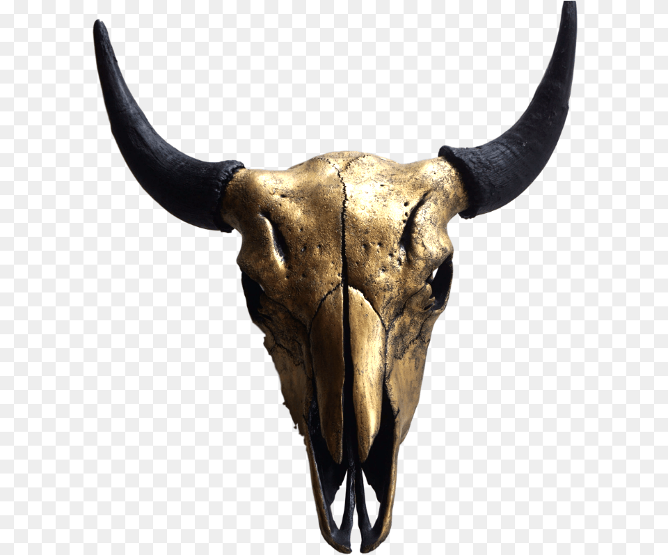 Gold Bison Skull, Animal, Mammal, Bull, Longhorn Free Png