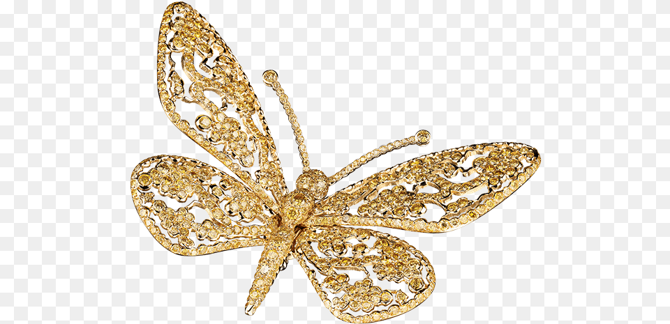 Gold Butterflies, Accessories, Brooch, Jewelry, Animal Png