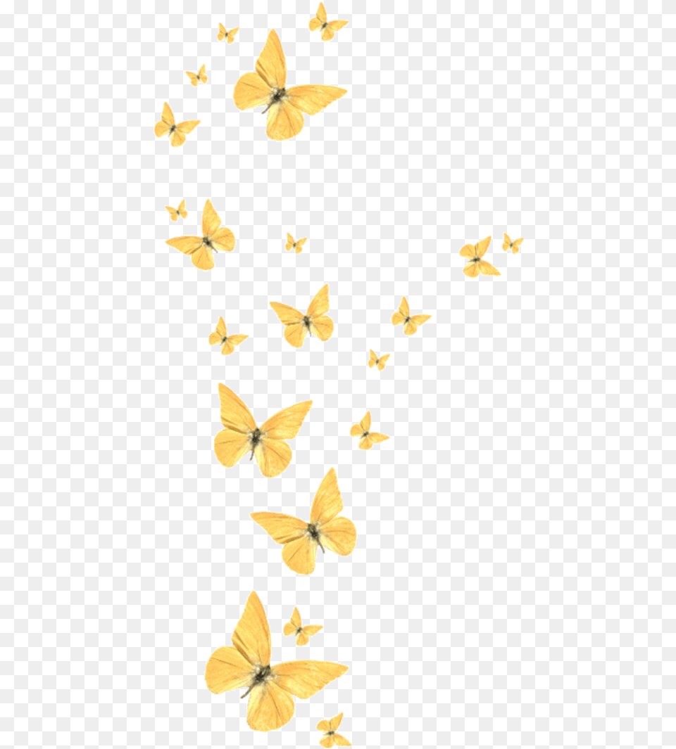 Gold Butterflies Cute Sticker Blouse, Flower, Petal, Plant, Animal Free Transparent Png