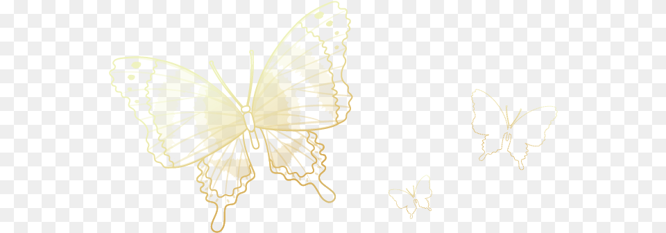 Gold Butterflies Fading Transparent Icon Overlay Freeto Swallowtail Butterfly, Stencil, Adult, Wedding, Person Free Png
