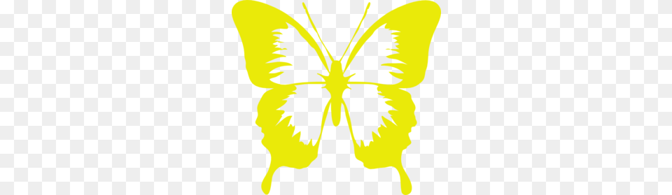 Gold Butterfly Clip Art, Flower, Plant, Person, Petal Png Image