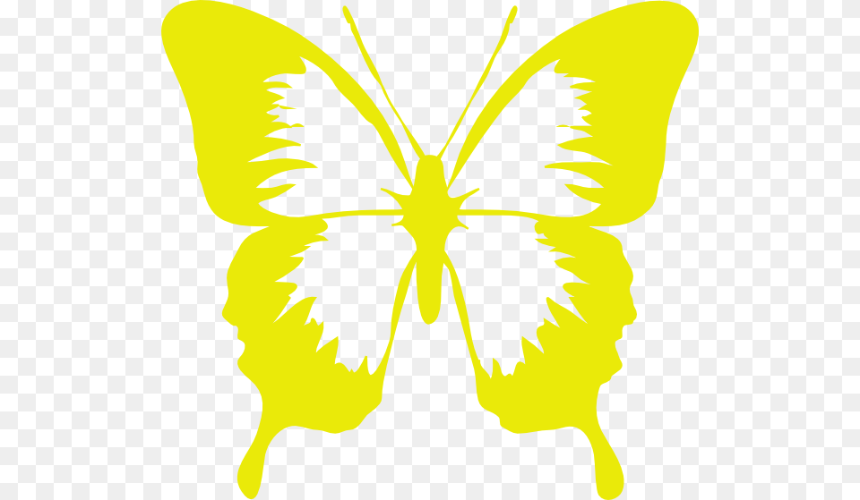 Gold Butterfly Clip Art At Clker Epidermolysis Bullosa Awareness Symbol, Flower, Petal, Plant, Baby Png Image