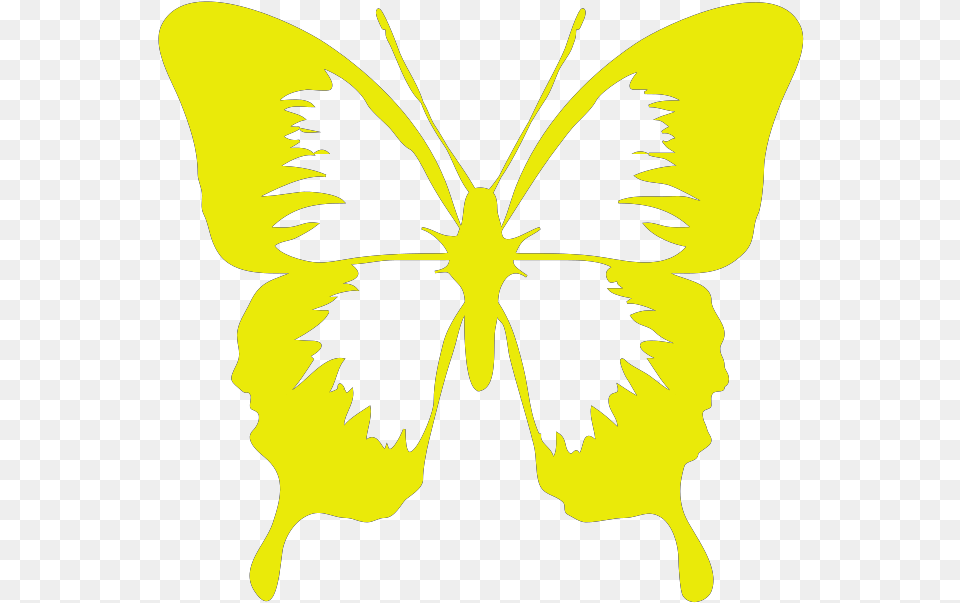 Gold Butterfly Clip Art Butterfly Black And White Small, Flower, Plant, Person, Stencil Free Transparent Png