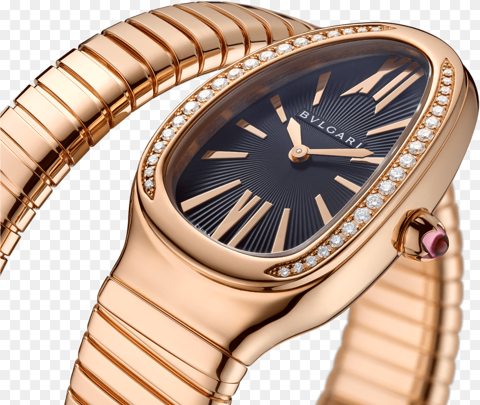 Gold Bvlgari Watch Serpenti, Wristwatch, Person, Arm, Body Part Png Image