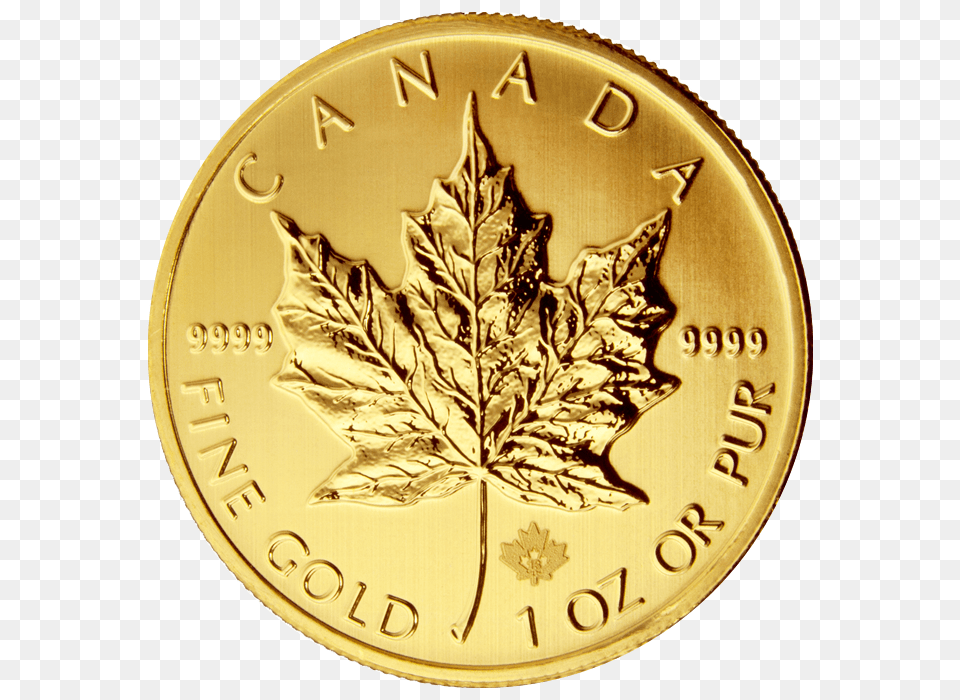 Gold Canadian Maple Maple Leaf Gold Coin Price, Plant Png Image