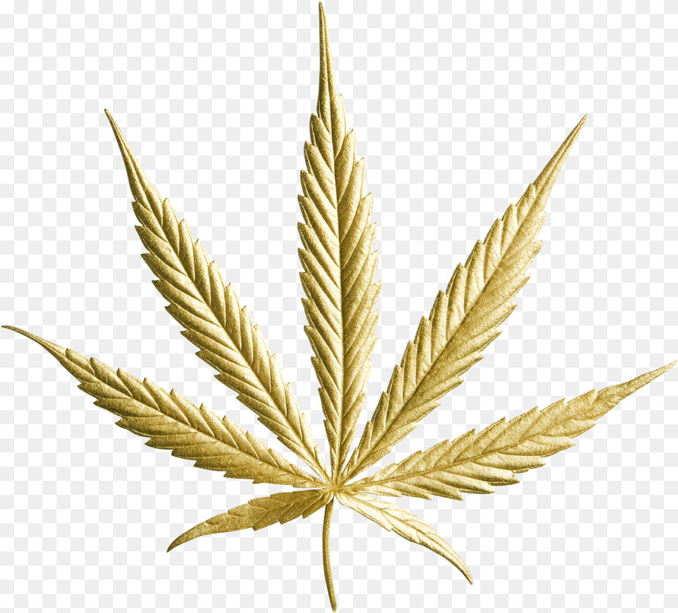 Gold Cannabis Leaf Gold Cannabis Leaf, Plant Png Image