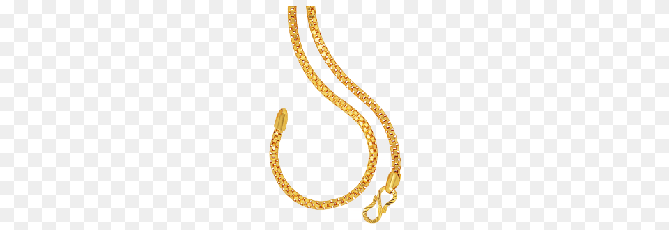 Gold Chain Designs For Men, Accessories, Jewelry, Necklace, Diamond Free Png Download