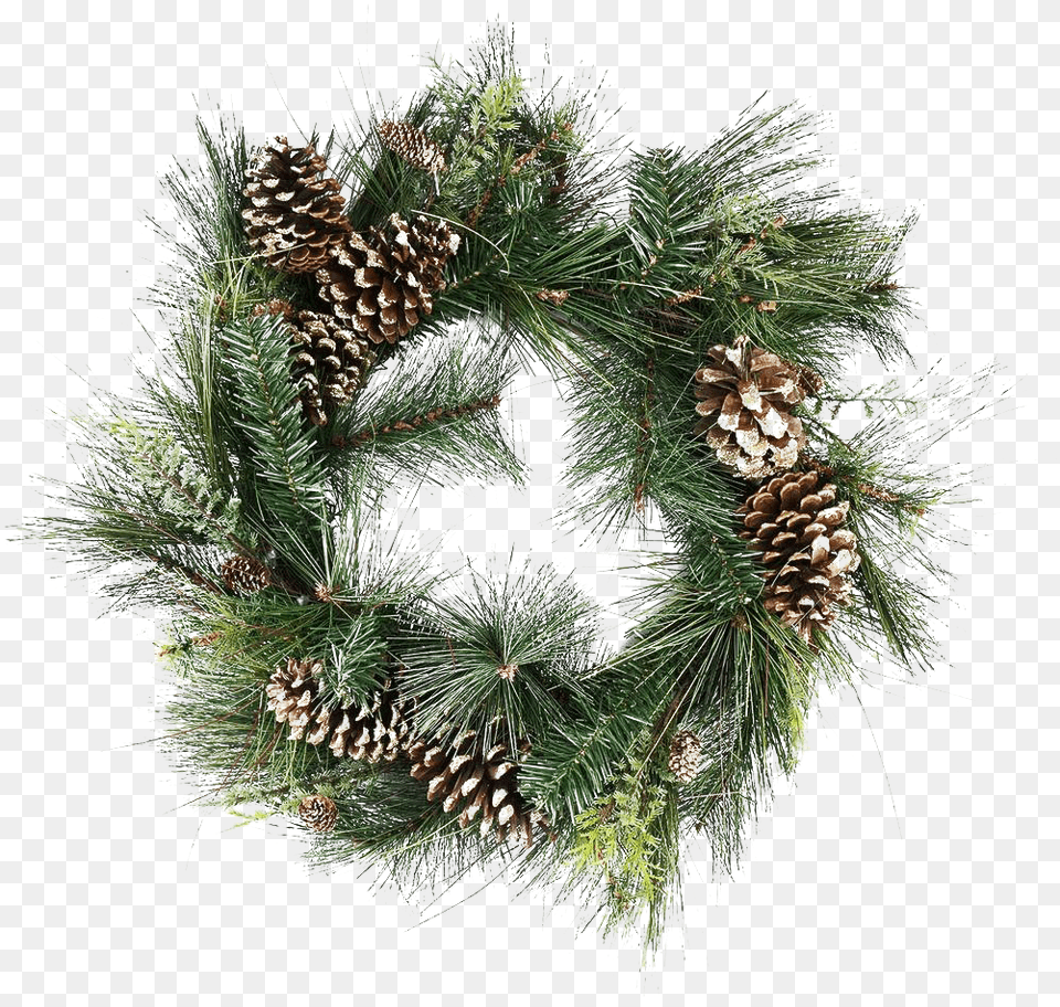 Gold Christmas Wreath Transparent Image Christmas Wreath With Pinecones, Plant, Tree Free Png
