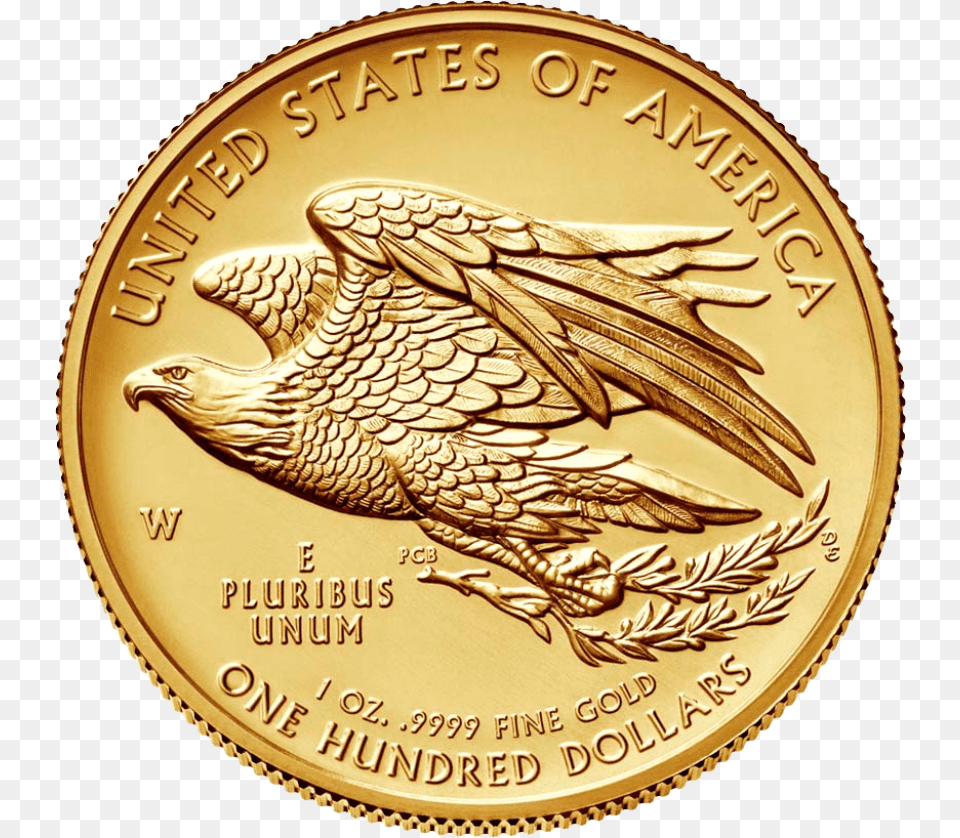 Gold Coin Image American Liberty 2019 High Relief Gold Coin, Animal, Bird, Money Png