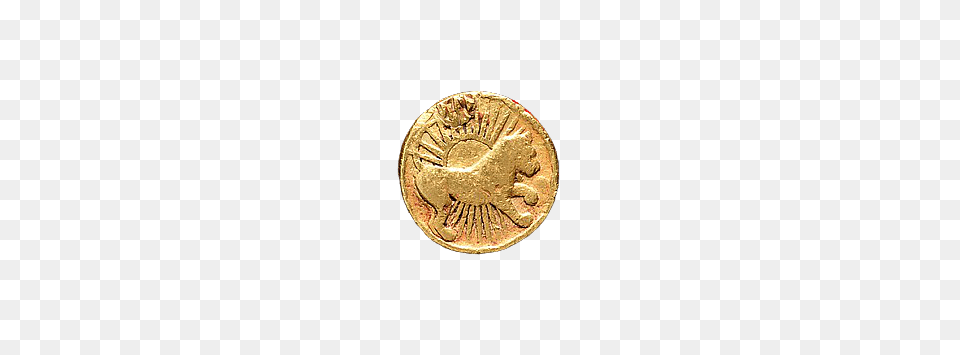 Gold Coin Leo Sign, Money Png