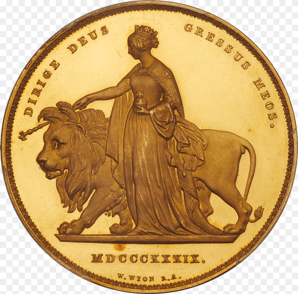 Gold Coin Una And The Lion, Animal, Wildlife, Mammal, Adult Free Transparent Png