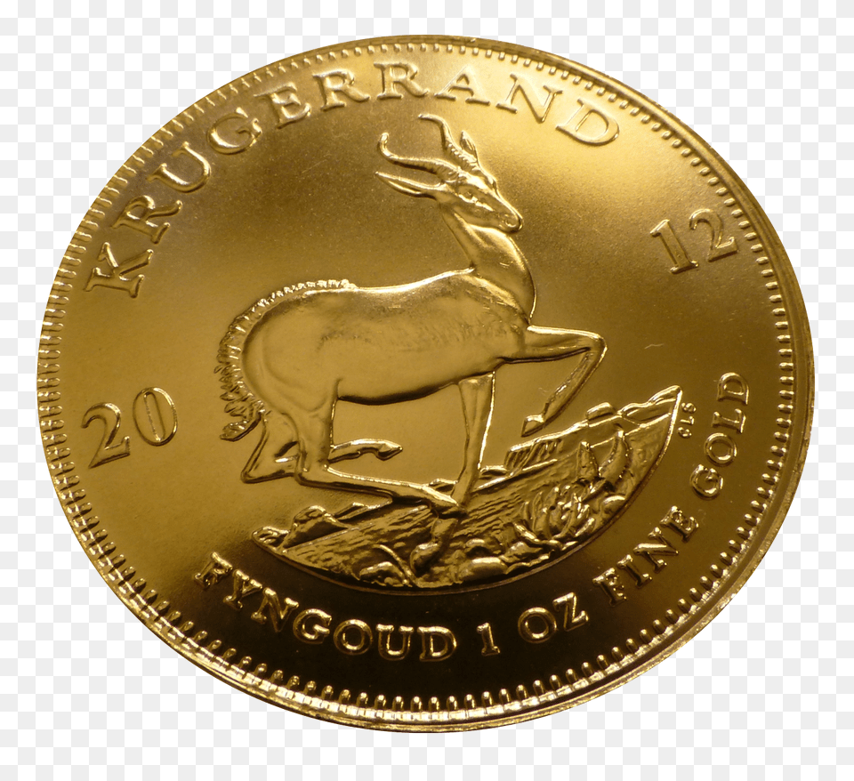 Gold Coins Kangaroo Kangaroos Gold Coin, Money, Animal, Horse, Mammal Free Transparent Png