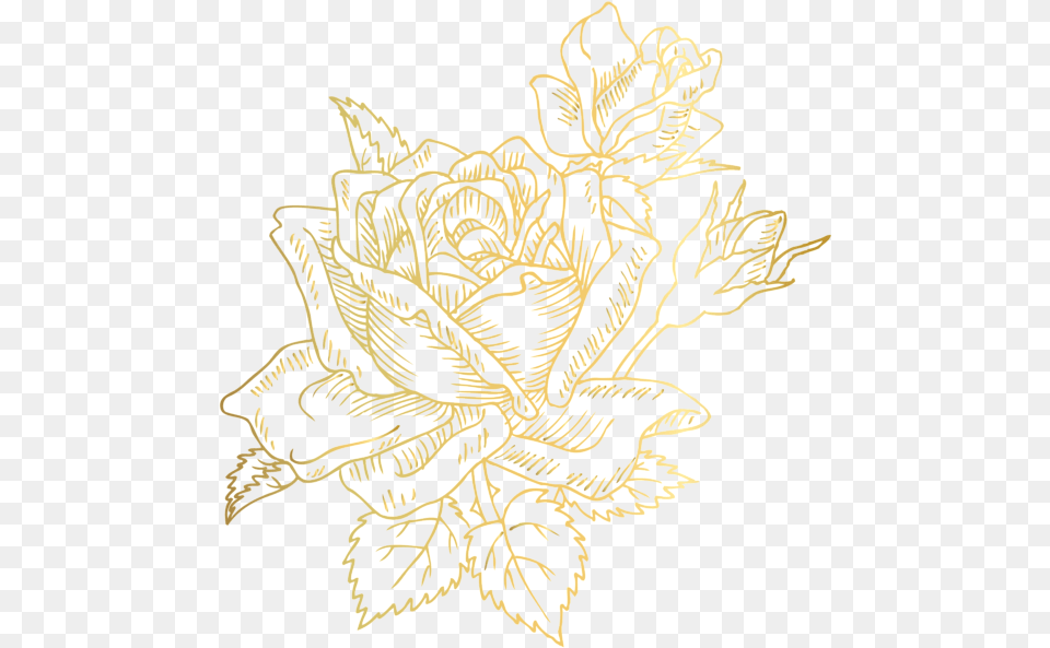 Gold Deco Rose Clip Art Image Rose Gold Rose Drawing, Leaf, Pattern, Plant, Floral Design Free Png