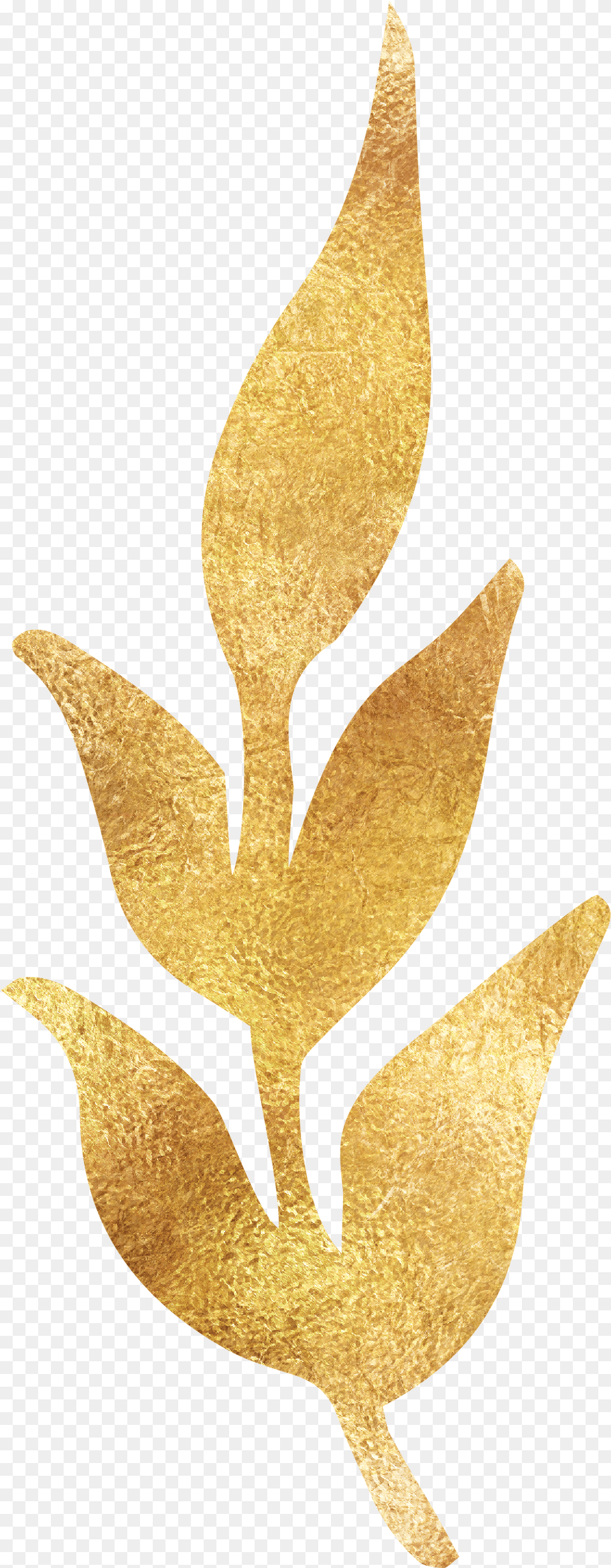 Gold Decorative Lines, Bronze, Leaf, Plant, Art Png