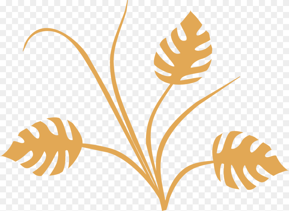 Gold Decorative Lines, Leaf, Plant, Fern, Person Free Transparent Png