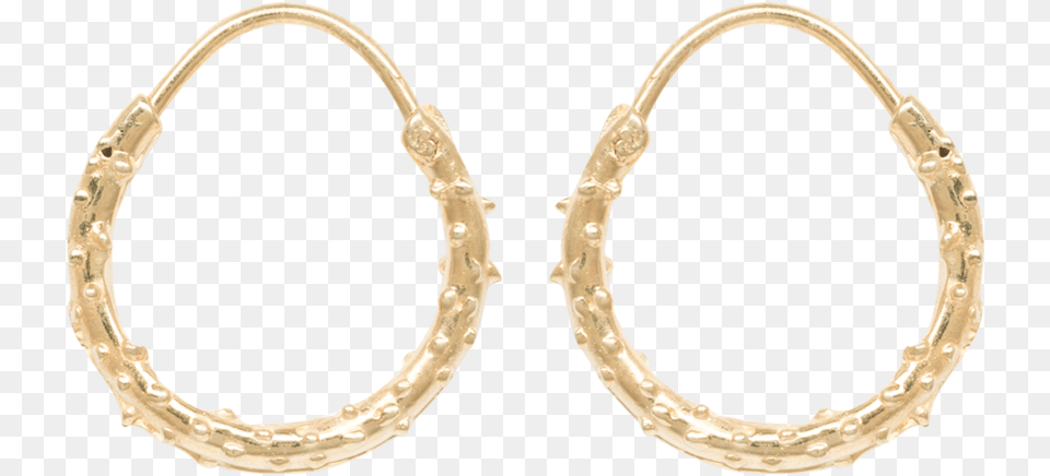 Gold Diamond Cut Hoop Earrings, Accessories, Earring, Jewelry, Gemstone Png Image