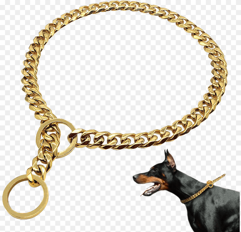 Gold Dog Chain, Accessories, Bracelet, Jewelry, Necklace Png Image
