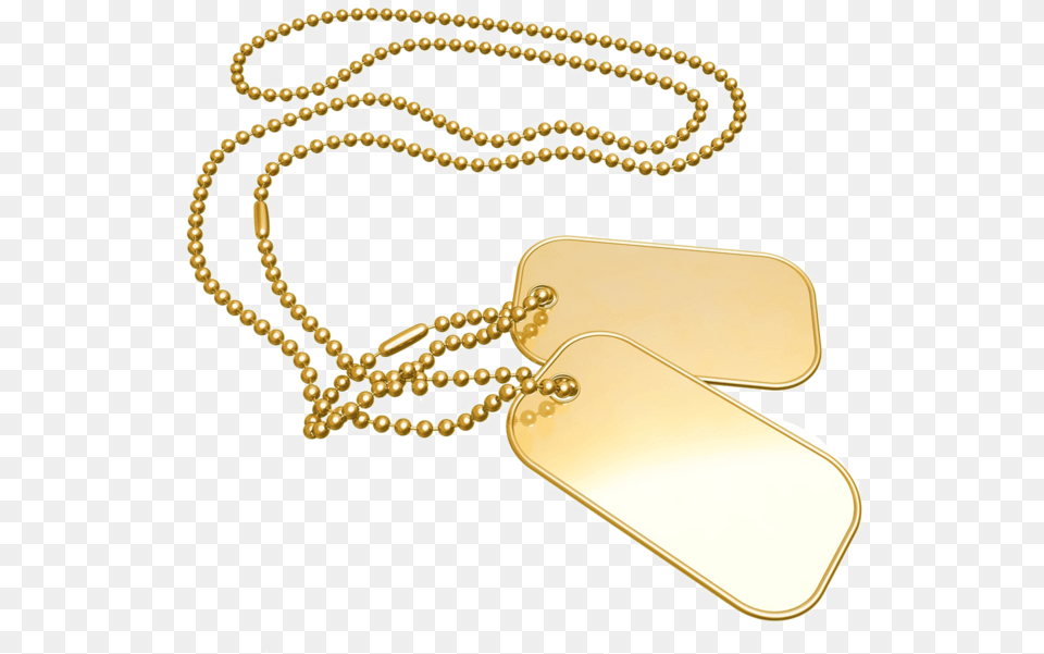 Gold Dog Tags My Name Pix Friends, Accessories, Jewelry, Necklace, Treasure Free Png Download