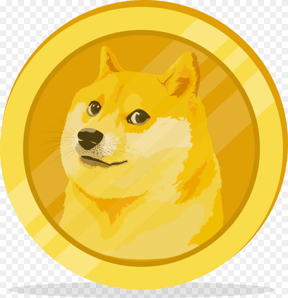 Gold Doge Dogecoin Transparent, Animal, Cat, Mammal, Pet Png
