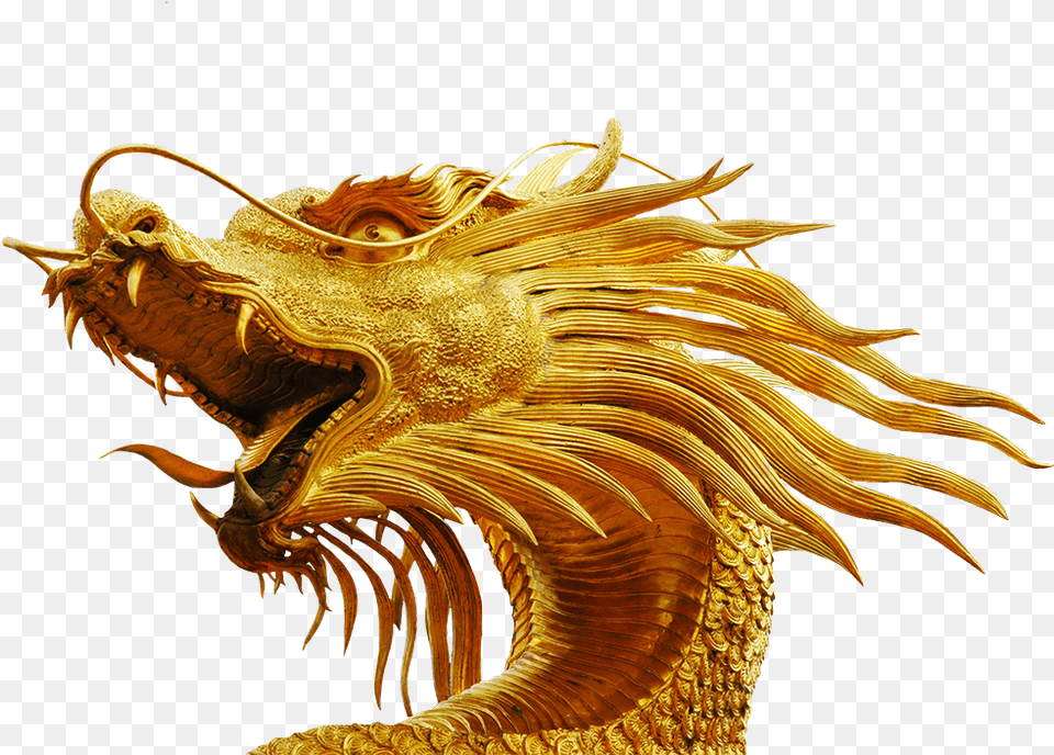 Gold Dragon Head Dragon Head No Background, Animal, Dinosaur, Reptile Png