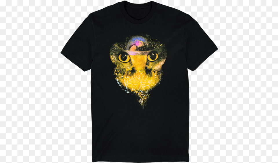 Gold Dust Tee Screech Owl, Clothing, T-shirt, Adult, Male Free Png