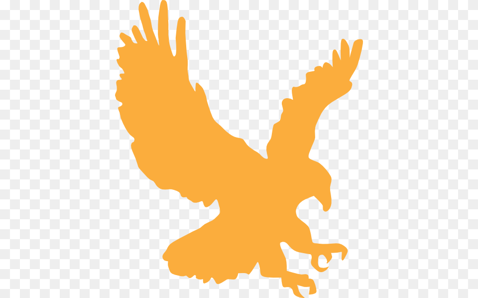 Gold Eagle Cargo Wings Logistics Ltd, Baby, Person, Animal, Bird Png Image