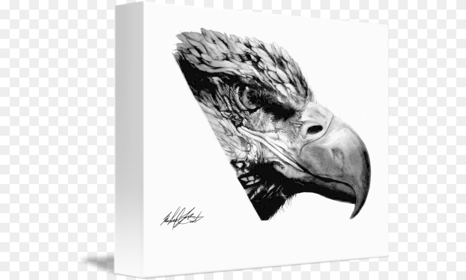 Gold Eagle Head By Michael Burt Hawk, Animal, Beak, Bird, Art Free Png Download