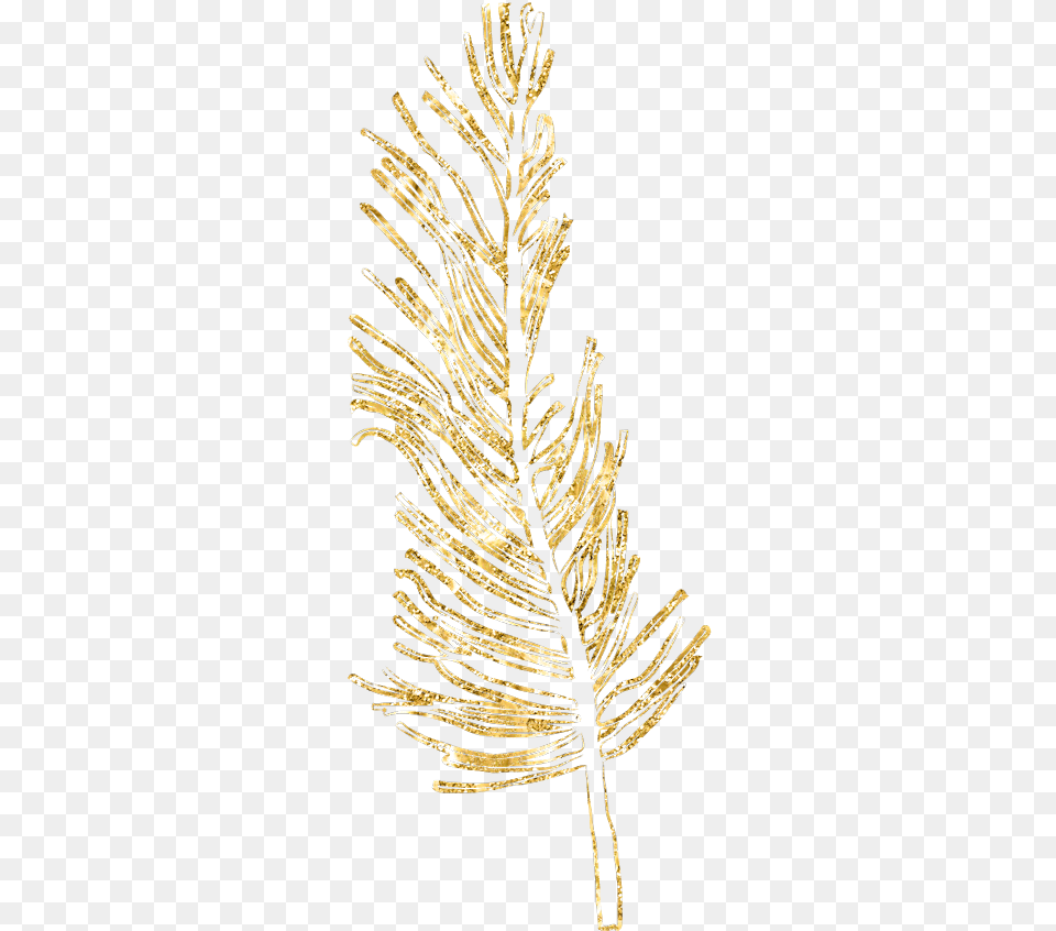 Gold Feather Feathers Native Boho Glitter Decals Transparent Gold Feather, Conifer, Fir, Plant, Tree Png