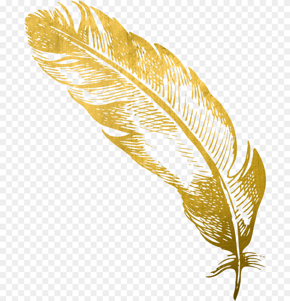 Gold Feather Feathers Native Boho Pretty Decals Decor Gold Feather Transparent Background, Leaf, Plant, Person, Bottle Free Png Download