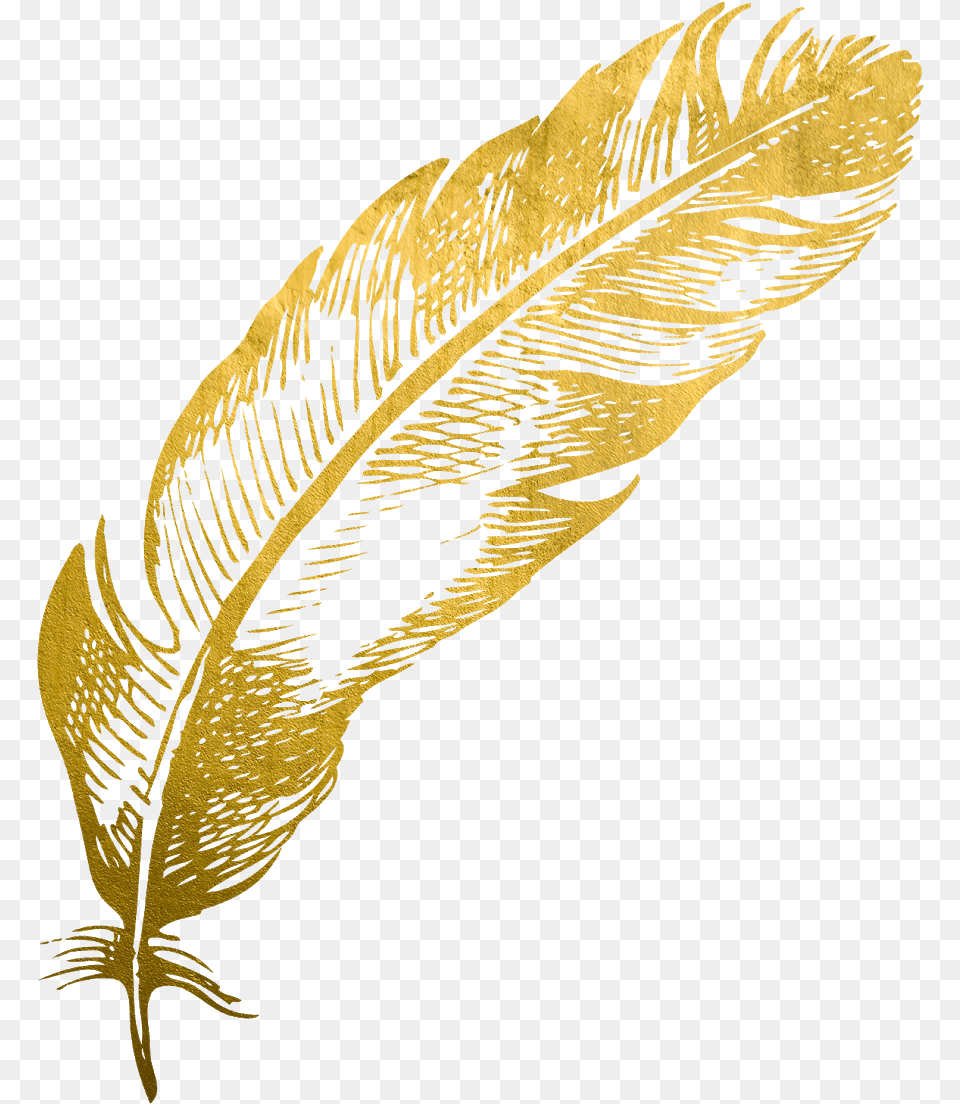 Gold Feather Feathers Native Boho Pretty Decals Illustration, Leaf, Plant, Fern, Person Free Transparent Png