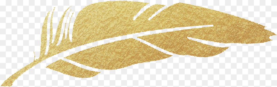 Gold Feather Gold Feather Clipart Transparent, Leaf, Plant, Clothing, Hat Png Image