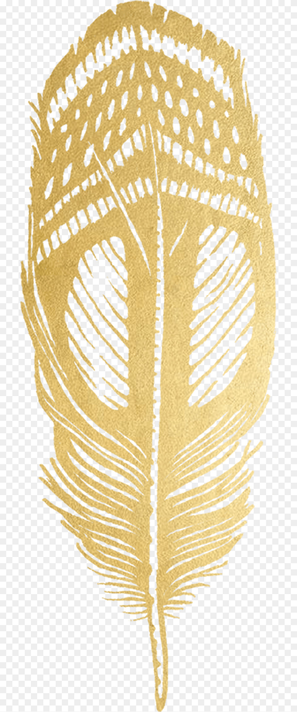 Gold Feather Logo Logodix Illustration, Clothing, Hat, Leaf, Plant Free Transparent Png