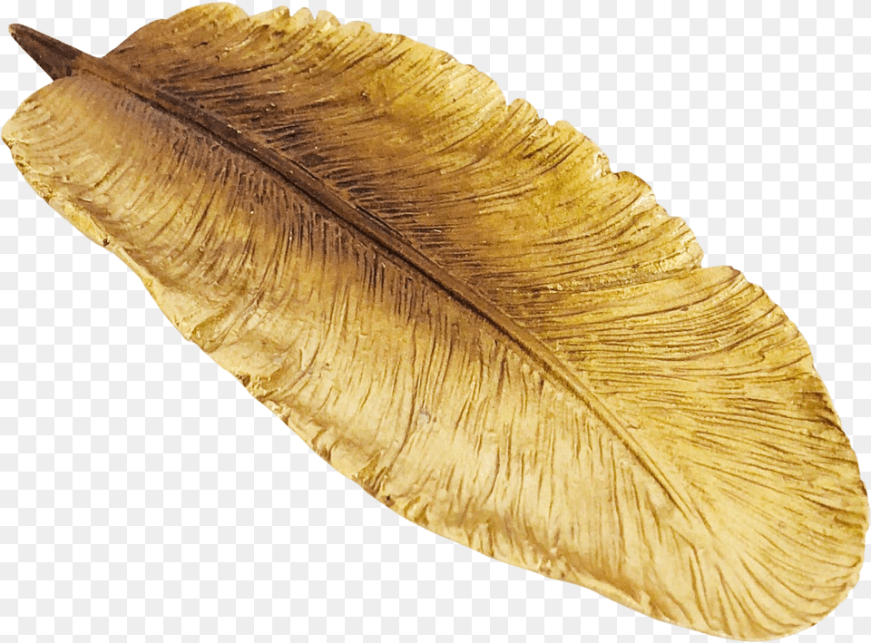 Gold Feather Oval, Flower, Leaf, Petal, Plant Free Transparent Png