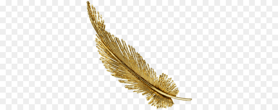 Gold Feather Sunshine3 Gold Feather, Accessories, Jewelry, Animal, Brooch Free Transparent Png