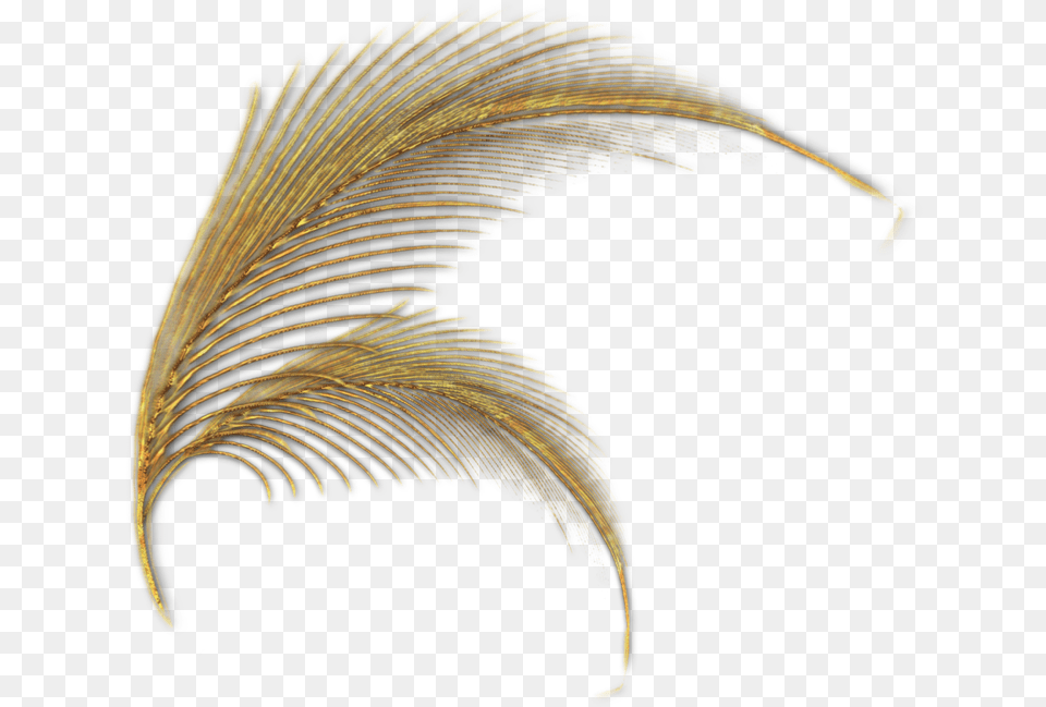 Gold Feathers Golden Feathers, Accessories, Pattern, Animal, Bird Free Transparent Png
