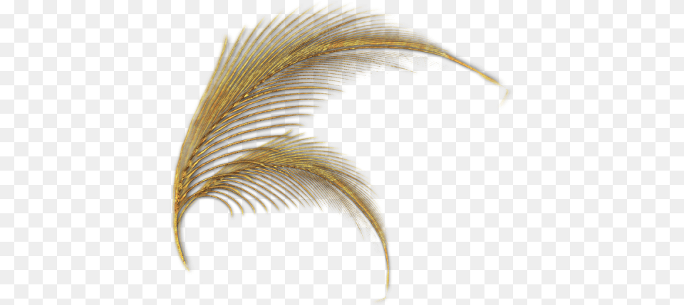 Gold Feathers Transparent Images U2013 Transparent Gold Feathers, Accessories, Pattern, Art Free Png