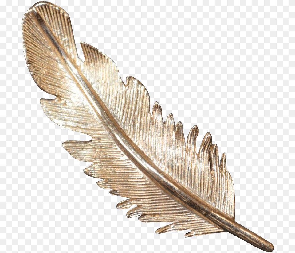 Gold Feathers Wood, Accessories, Brooch, Jewelry, Animal Free Png Download