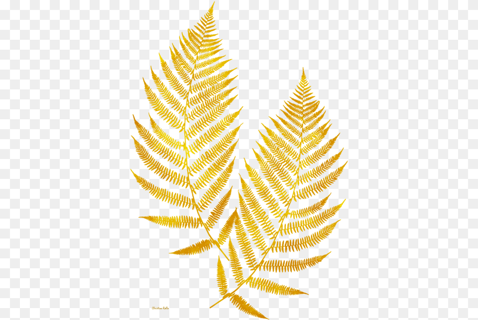 Gold Fern Leaf Art Kids T Gold Leaf Transparent, Plant, Animal, Mammal, Wildlife Free Png Download