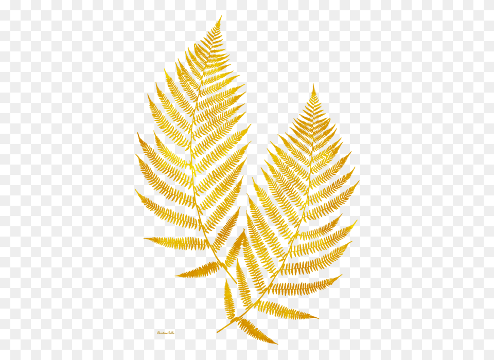 Gold Fern Leaf Art Onesie For Sale, Plant Free Transparent Png