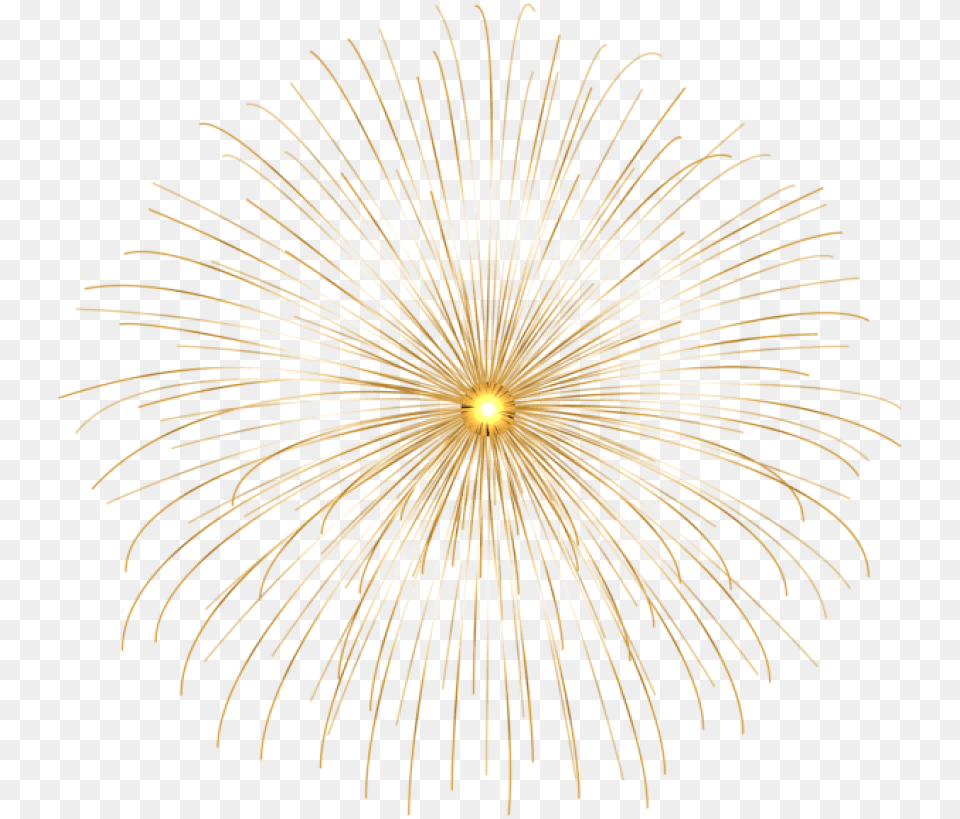 Gold Firework Circle Images Transparent Portable Network Graphics, Fireworks, Plant Png