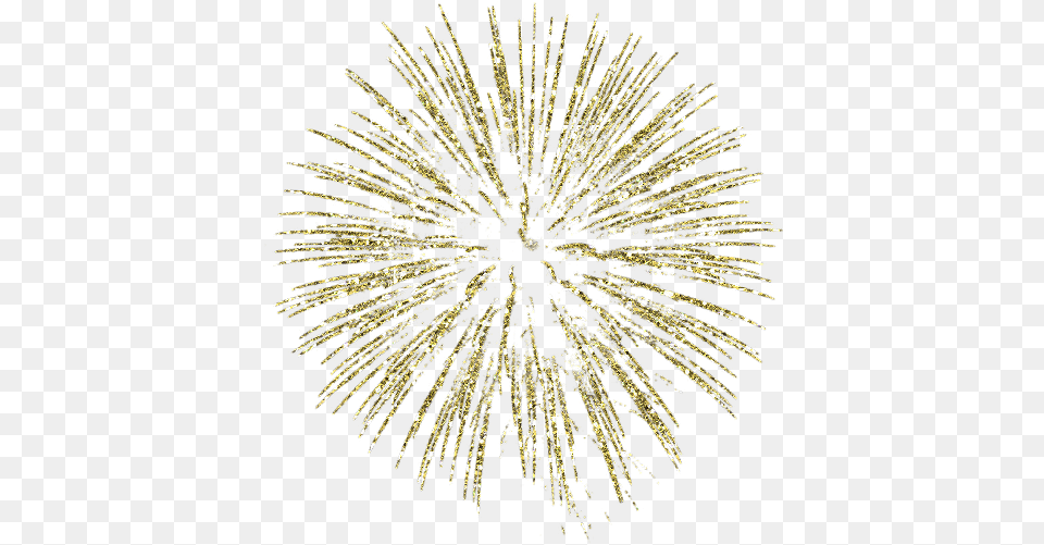 Gold Fireworks Clipart Fireworks, Plant Free Png