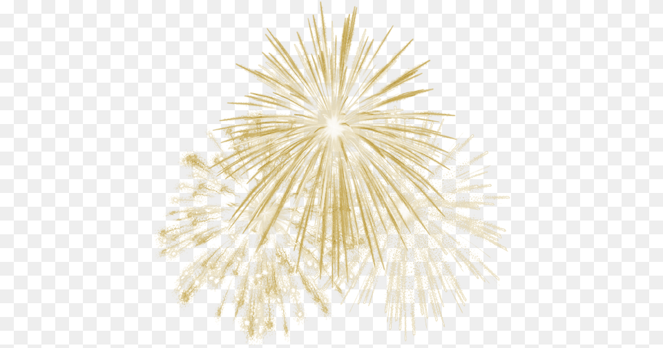 Gold Fireworks Feuerwerk Feudartifice Transparent Background Fireworks, Lighting, Animal, Bird Png