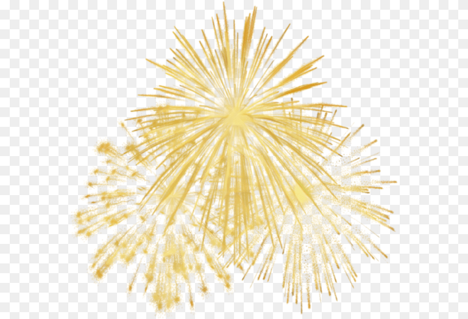 Gold Fireworks Transparent Background, Plant Free Png