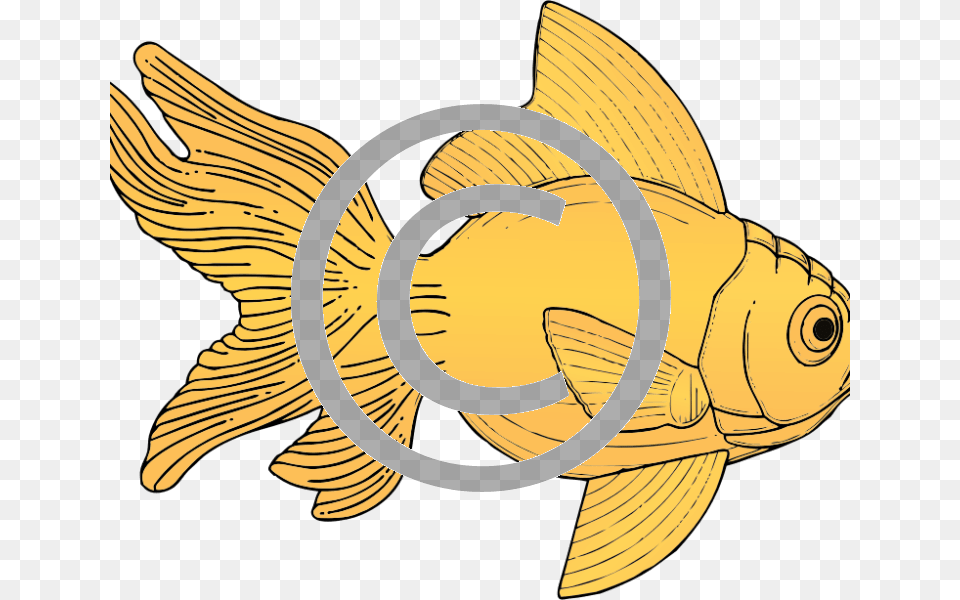 Gold Fish Clip Art, Animal, Sea Life, Goldfish, Shark Free Png