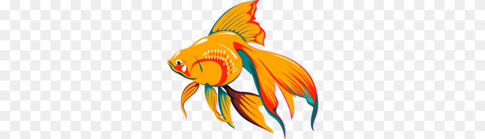 Gold Fish Clip Art, Animal, Sea Life, Goldfish, Person Free Png