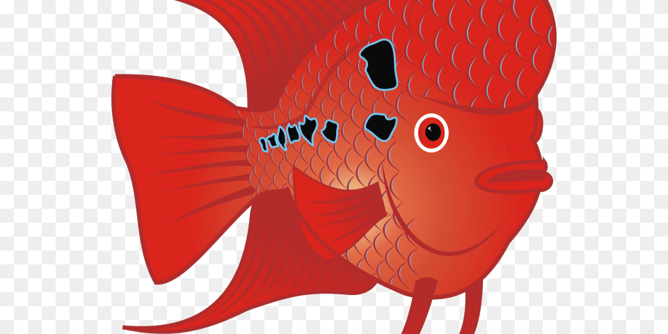 Gold Fish Clipart Fish Head Fish Clip Art, Animal, Sea Life, Baby, Person Png Image