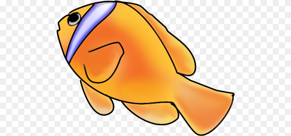 Gold Fish Clipart Swimming Animal Fish Swimming Clipart, Sea Life, Goldfish, Baby, Person Free Png