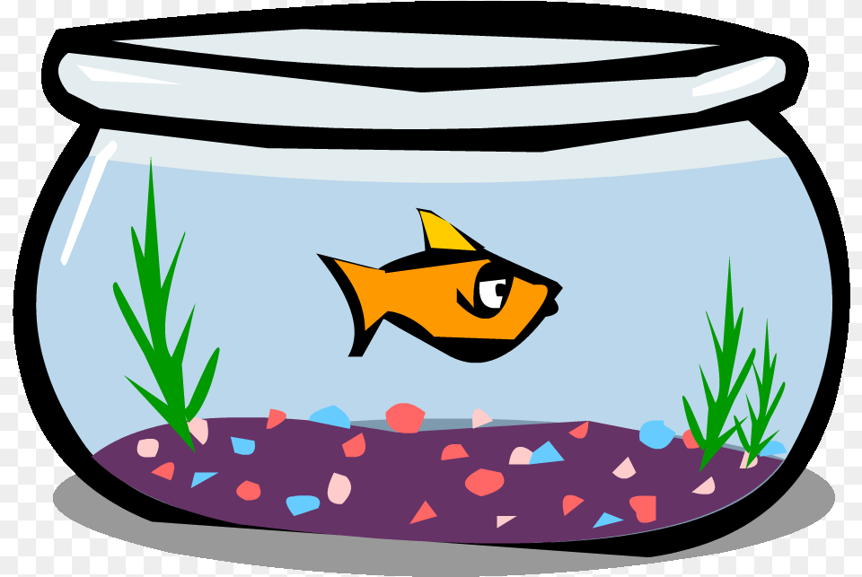 Gold Fish Picture Fishbowl Clipart, Animal, Aquarium, Sea Life, Water Free Png Download